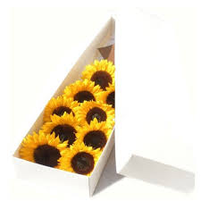 10 Girasoles en Caja